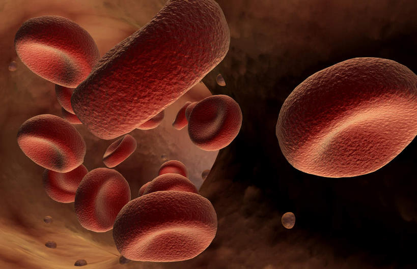 无人,横图,插画,室内,白天,白色背景,正面,数码,科技,静物,阴影,网络,医学,细胞,高光,几何,计算机图形,合成,图画,画,血液,人体,电脑合成图,数码合成图,生物学,血细胞,漫画,白细胞,生理学,写实,具体,具象,红细胞,彩图