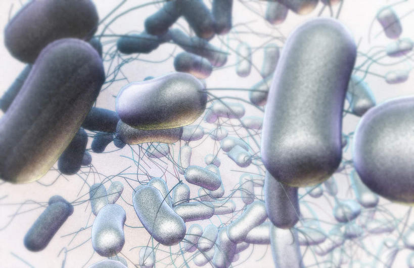 无人,横图,插画,室内,白天,白色背景,正面,数码,科技,静物,阴影,网络,细菌,医学,高光,几何,计算机图形,合成,图画,画,人体,电脑合成图,数码合成图,生物学,漫画,生理学,写实,具体,具象,棒状,肠杆菌,彩图,沙门氏菌