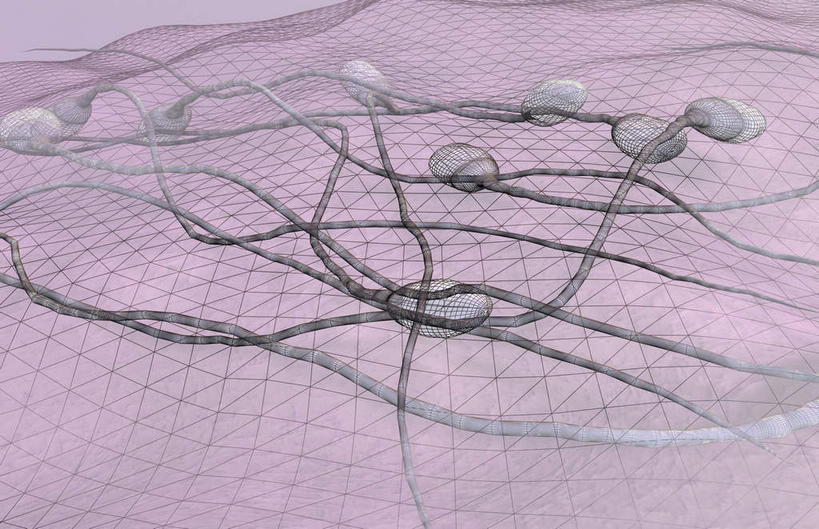 无人,横图,插画,室内,白天,白色背景,正面,数码,分子,科技,微生物,静物,阴影,网络,医学,高光,几何,计算机图形,合成,图画,画,精子,生物,人体,繁衍,电脑合成图,数码合成图,医疗,生物学,繁殖,漫画,生理学,写实,具体,具象,寄生,生命体,彩图