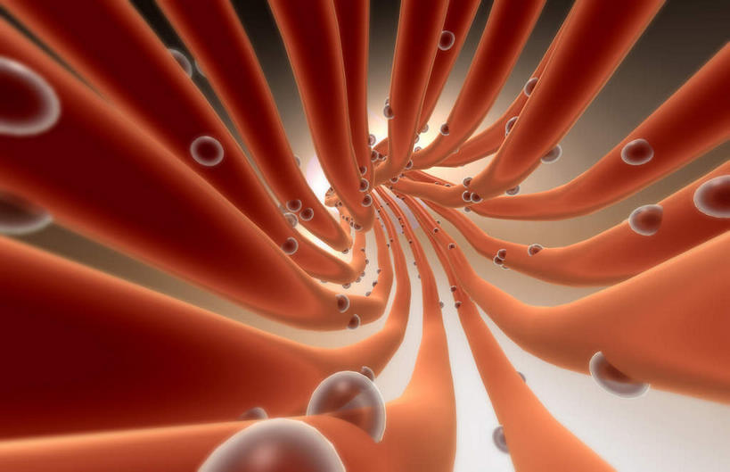 神经,无人,横图,插画,室内,白天,白色背景,正面,数码,科技,静物,阴影,网络,医学,高光,几何,计算机图形,合成,图画,画,人体,电脑合成图,数码合成图,生物学,漫画,生理学,写实,具体,具象,神经纤维,彩图,神经系统