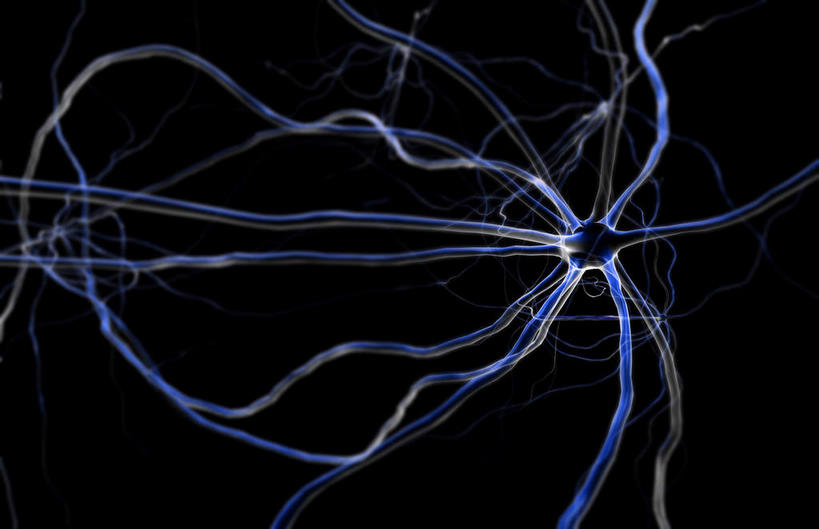 无人,横图,插画,室内,特写,白天,正面,数码,分子,科技,微生物,静物,阴影,黑色背景,网络,医学,细胞,枝条,高光,几何,计算机图形,合成,图画,画,生物,分叉,人体,电脑合成图,数码合成图,医疗,生物学,漫画,神经元,生理学,写实,具体,具象,神经细胞,运动神经元,彩图,神经系统