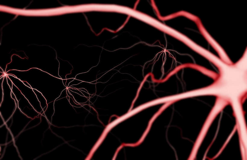 无人,横图,插画,室内,特写,白天,正面,数码,分子,科技,微生物,静物,阴影,黑色背景,网络,医学,细胞,枝条,高光,几何,计算机图形,合成,图画,画,生物,分叉,人体,电脑合成图,数码合成图,医疗,生物学,漫画,神经元,生理学,写实,具体,具象,神经细胞,运动神经元,彩图,神经系统