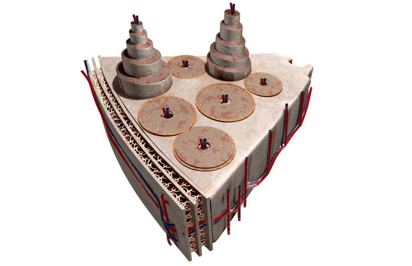 无人,横图,插画,室内,特写,白天,白色背景,正面,数码,科技,静物,阴影,网络,医学,高光,几何,计算机图形,合成,图画,画,人体,电脑合成图,数码合成图,生物学,漫画,生理学,写实,具体,具象,骨膜,骨皮质,间质片层,彩图