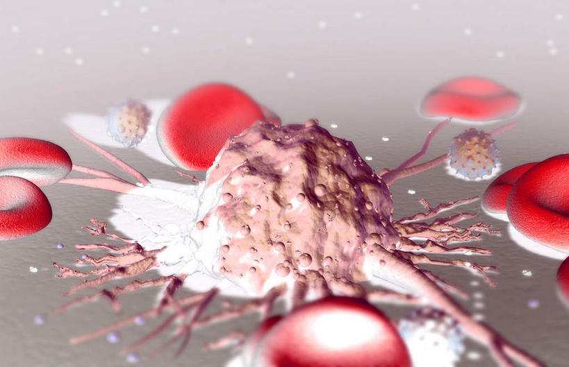 无人,横图,插画,室内,特写,白天,正面,数码,分子,科技,微生物,静物,阴影,黑色背景,网络,医学,高光,几何,计算机图形,合成,图画,画,生物,人体,电脑合成图,数码合成图,医疗,病毒,生物学,漫画,癌症,癌细胞,生理学,写实,具体,具象,白血病,寄生,生命体,血癌,肿瘤细胞,彩图