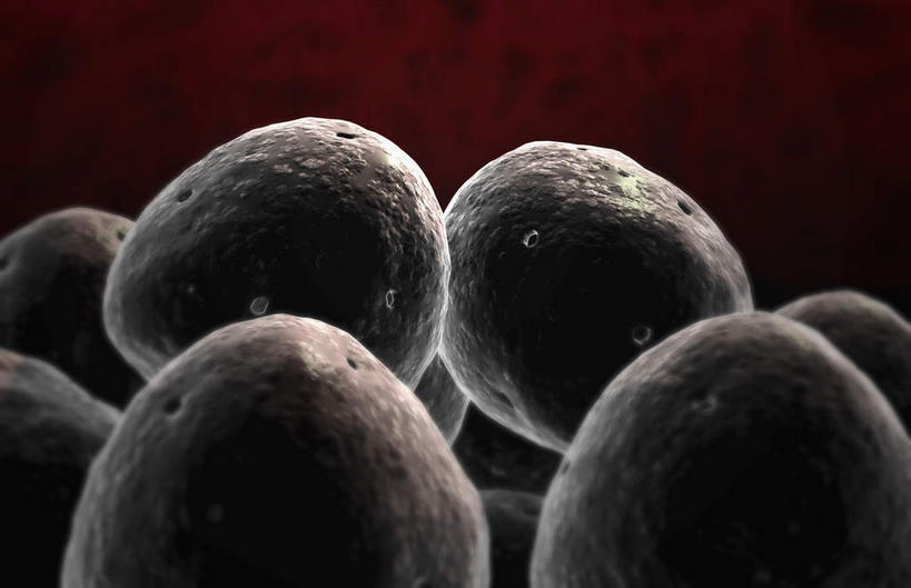 无人,横图,插画,室内,特写,白天,正面,数码,科技,静物,阴影,黑色背景,网络,医学,细胞,高光,几何,计算机图形,合成,图画,画,生物,人体,电脑合成图,数码合成图,医疗,生物学,漫画,生理学,写实,具体,具象,细胞膜,彩图