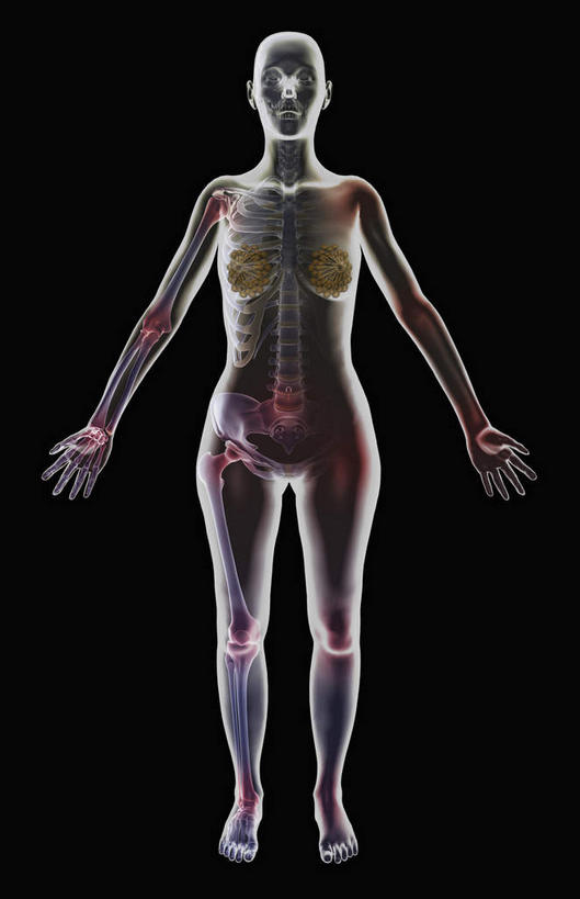内脏,动脉,静脉,无人,竖图,插画,x光片,室内,特写,白天,正面,数码,科技,静物,阴影,黑色背景,辐射,科学,网络,医学,高光,几何,计算机图形,合成,图画,画,模型,人体,皮肤,电脑合成图,数码合成图,医疗,生物学,人体器官,科学技术,x射线,器官,x光,漫画,生理学,写实,具体,具象,臀围,彩图,电磁波,电磁辐射