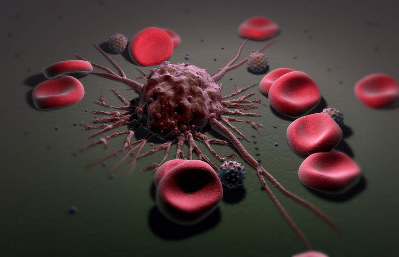 无人,横图,插画,室内,特写,白天,正面,数码,科技,静物,阴影,网络,医学,细胞,高光,几何,计算机图形,合成,图画,画,人体,电脑合成图,数码合成图,生物学,漫画,癌症,生理学,写实,具体,具象,白血病,彩图