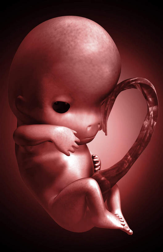 无人,坐,竖图,插画,室内,白天,正面,数码,科技,阴影,黑色背景,网络,高光,几何,计算机图形,合成,图画,画,电脑合成图,数码合成图,胎儿,发育,漫画,孕育,写实,具体,具象,生殖,坐着,彩图,全身,胚胎