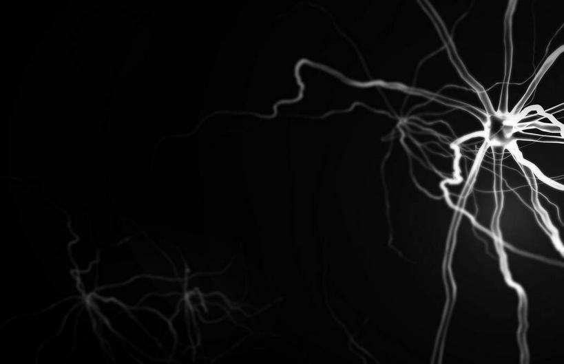 神经,无人,横图,黑白,插画,室内,特写,白天,正面,数码,科技,静物,阴影,黑色背景,网络,医学,细胞,高光,几何,计算机图形,合成,图画,画,红色,人体,纤维,电脑合成图,数码合成图,生物学,漫画,生理学,写实,具体,具象,神经纤维,神经系统,神经组织