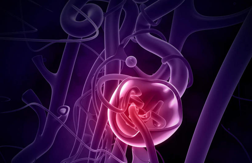 内脏,无人,横图,插画,室内,特写,白天,正面,数码,科技,静物,阴影,黑色背景,网络,医学,细胞,高光,几何,计算机图形,合成,图画,画,紫色,模型,人体,电脑合成图,数码合成图,生物学,人体器官,器官,漫画,生理学,写实,具体,具象,彩图,肾小球,血液过滤器