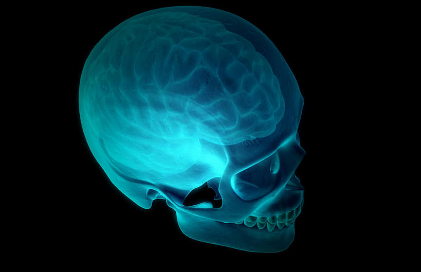 动脉,静脉,骨骼,无人,横图,插画,x光片,室内,特写,白天,正面,数码,科技,静物,大脑,阴影,黑色背景,发光,辐射,科学,网络,医学,骨头,高光,几何,计算机图形,合成,图画,画,绿色,模型,人体,电脑合成图,数码合成图,骨架,医疗,生物学,科学技术,x射线,器官,沟壑,x光,漫画,小脑,脑干,生理学,写实,具体,具象,大脑皮层,端脑,额叶,沟,灰质,回,间脑,颞叶,右脑,半身,彩图,大脑半球,电磁波,电磁辐射