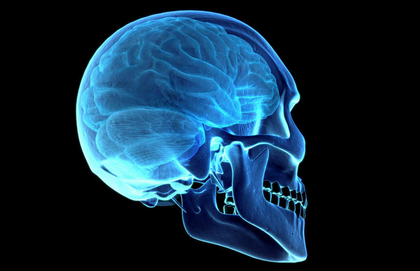 动脉,静脉,骨骼,无人,横图,插画,x光片,室内,特写,白天,正面,数码,科技,静物,大脑,阴影,黑色背景,辐射,科学,网络,医学,骨头,高光,几何,计算机图形,合成,图画,画,模型,人体,皮肤,电脑合成图,数码合成图,骨架,医疗,生物学,科学技术,x射线,器官,沟壑,x光,漫画,小脑,脑干,生理学,写实,具体,具象,大脑皮层,端脑,沟,灰质,回,间脑,颞叶,右脑,半身,彩图,电磁波,电磁辐射