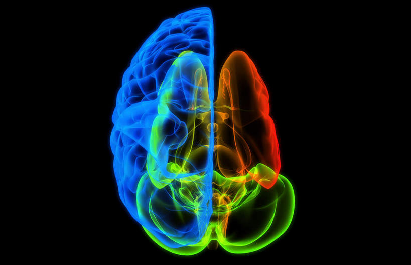 无人,横图,彩色,插画,x光片,室内,白天,正面,数码,科技,大脑,阴影,黑色背景,辐射,科学,网络,医学,高光,几何,计算机图形,合成,图画,画,电脑合成图,数码合成图,医疗,科学技术,x射线,器官,沟壑,x光,漫画,小脑,脑干,写实,具体,具象,大脑皮层,端脑,沟,灰质,回,间脑,彩图,电磁波,电磁辐射