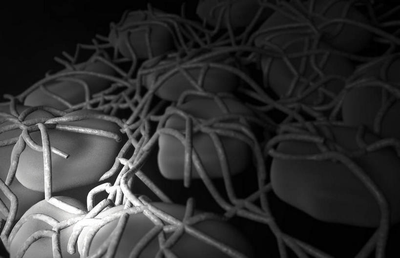 无人,横图,黑白,插画,室内,特写,白天,正面,数码,科技,静物,一排,许多,阴影,黑色背景,整齐,网络,医学,细胞,高光,几何,计算机图形,合成,图画,画,排列,人体,电脑合成图,数码合成图,生物学,队列,漫画,生理学,写实,具体,具象,血块