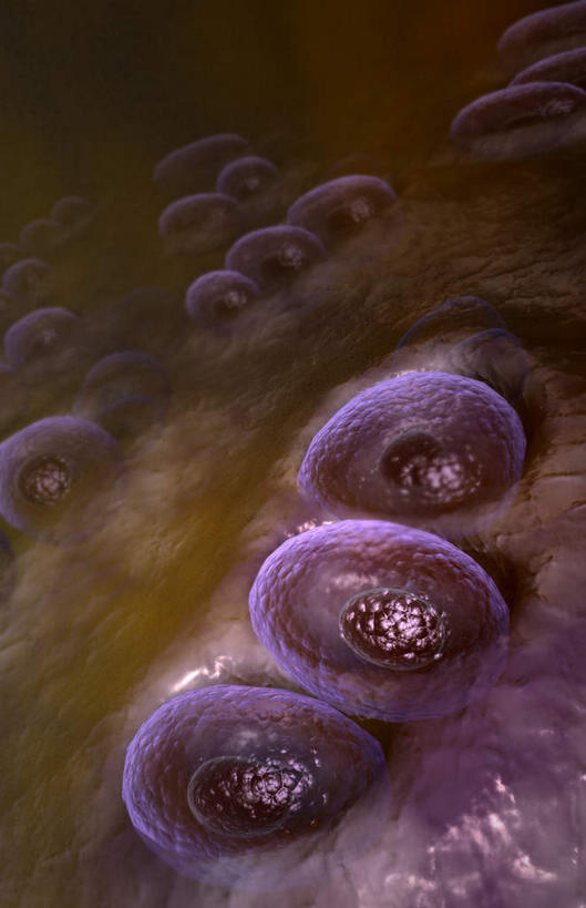 无人,竖图,室内,特写,白天,正面,数码,科技,静物,阴影,黑色背景,网络,医学,细胞,高光,几何,计算机图形,合成,人体,电脑合成图,数码合成图,生物学,软骨,生理学,写实,具体,具象,彩图