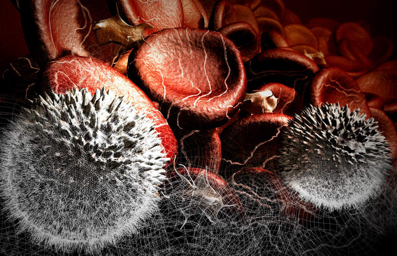 无人,横图,室内,特写,白天,正面,数码,科技,静物,阴影,黑色背景,网络,医学,细胞,高光,几何,计算机图形,合成,人体,电脑合成图,数码合成图,生物学,血细胞,生理学,写实,具体,具象,彩图