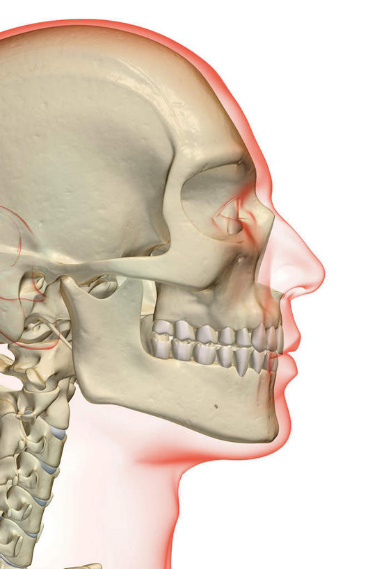 脸,脸颊,颅骨,骨骼,无人,竖图,x光片,室内,白天,白色背景,正面,数码,科技,阴影,辐射,科学,网络,医学,骨头,高光,几何,计算机图形,合成,皮肤,电脑合成图,数码合成图,骨架,医疗,科学技术,x射线,x光,写实,具体,具象,头盖骨,头部,脸部,脸蛋,面部,彩图,电磁波,电磁辐射