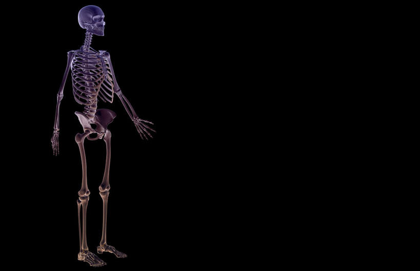 骨骼,肋骨,无人,横图,x光片,室内,白天,正面,数码,科技,阴影,黑色背景,辐射,科学,网络,医学,骨头,高光,几何,计算机图形,合成,皮肤,电脑合成图,数码合成图,骨架,医疗,科学技术,x射线,x光,写实,具体,具象,骨骼系统,彩图,全身,电磁波,电磁辐射