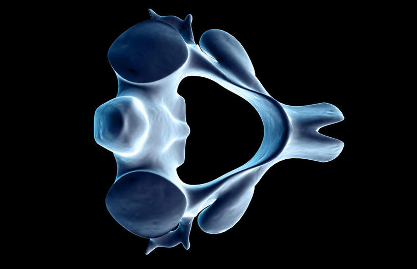 骨骼,无人,横图,x光片,室内,白天,正面,数码,科技,阴影,黑色背景,辐射,科学,网络,医学,骨头,高光,几何,计算机图形,合成,电脑合成图,数码合成图,骨架,医疗,科学技术,x射线,x光,写实,具体,具象,轴骨,彩图,电磁波,电磁辐射