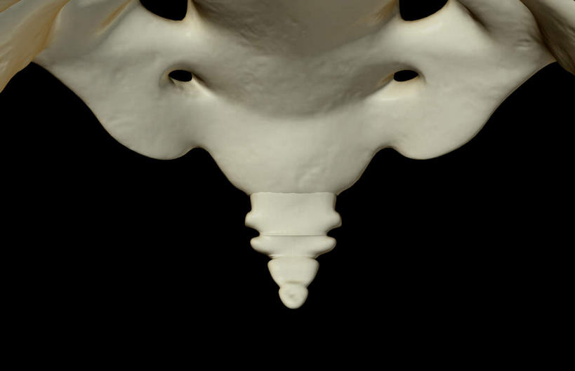 脊髓,骨骼,无人,横图,x光片,室内,白天,正面,数码,科技,阴影,黑色背景,辐射,科学,网络,医学,骨头,高光,几何,计算机图形,合成,电脑合成图,数码合成图,骨架,医疗,科学技术,x射线,x光,写实,具体,具象,尾骨,脊柱,彩图,电磁波,电磁辐射