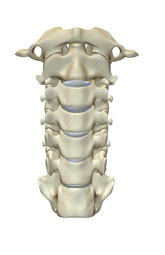 脊髓,骨骼,无人,竖图,x光片,室内,白天,白色背景,正面,数码,科技,阴影,辐射,科学,网络,医学,骨头,高光,几何,计算机图形,合成,电脑合成图,数码合成图,骨架,医疗,科学技术,x射线,x光,写实,具体,具象,颈椎,颈椎骨,脊柱,彩图,电磁波,电磁辐射