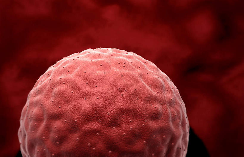 无人,横图,插画,室内,特写,白天,白色背景,正面,数码,科技,静物,阴影,网络,医学,细胞,高光,几何,计算机图形,合成,图画,画,人体,生长,成长,电脑合成图,数码合成图,胎儿,生物学,发育,卵子,漫画,孕育,生理学,写实,具体,具象,胚胎移植,彩图,胚胎