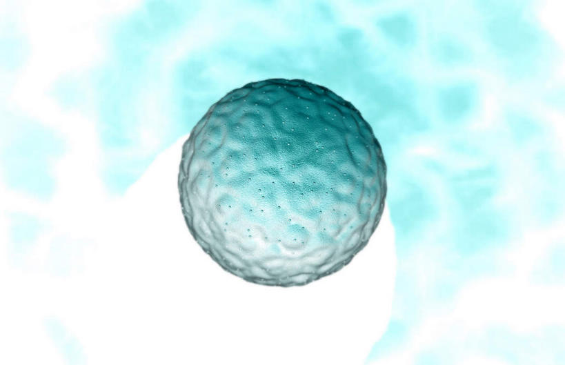 无人,横图,插画,室内,特写,白天,白色背景,正面,数码,科技,静物,阴影,网络,医学,细胞,高光,几何,计算机图形,合成,图画,画,人体,生长,成长,电脑合成图,数码合成图,胎儿,生物学,发育,卵子,漫画,孕育,生理学,写实,具体,具象,胚胎移植,彩图,胚胎