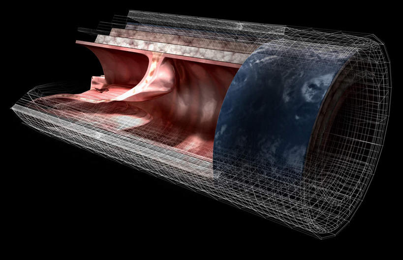 内脏,动脉,静脉,血管,无人,横图,室内,特写,白天,正面,数码,科技,静物,阴影,黑色背景,网络,医学,高光,几何,计算机图形,合成,红色,模型,人体,电脑合成图,数码合成图,生物学,人体器官,器官,生理学,写实,具体,具象,动脉壁,彩图,血管壁