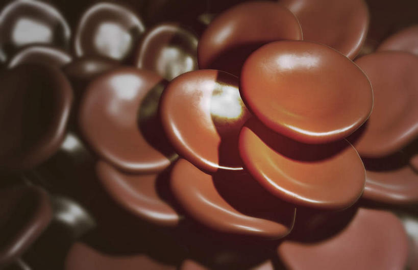 无人,横图,插画,室内,特写,白天,正面,数码,科技,静物,阴影,网络,医学,细胞,高光,几何,计算机图形,合成,图画,画,红色,人体,电脑合成图,数码合成图,生物学,血小板,漫画,生理学,写实,具体,具象,红细胞,彩图