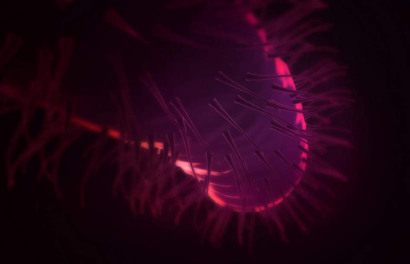 喉咙,内脏,气管,动脉,静脉,无人,横图,插画,室内,特写,白天,正面,数码,科技,静物,阴影,黑色背景,网络,医学,高光,几何,计算机图形,合成,图画,画,一个,红色,模型,人体,单个,电脑合成图,数码合成图,生物学,人体器官,器官,漫画,软骨,生理学,写实,具体,具象,喉,彩图