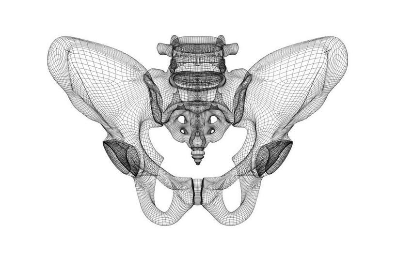 动脉,静脉,骨骼,无人,横图,黑白,插画,x光片,室内,特写,白天,白色背景,正面,数码,科技,静物,阴影,辐射,科学,网络,医学,骨头,高光,几何,计算机图形,合成,图画,画,一个,模型,人体,单个,电脑合成图,数码合成图,骨架,医疗,生物学,科学技术,解剖,x射线,盆骨,x光,漫画,生理学,写实,具体,具象,股骨,尾骨,腰骨,解剖学,电磁波,电磁辐射