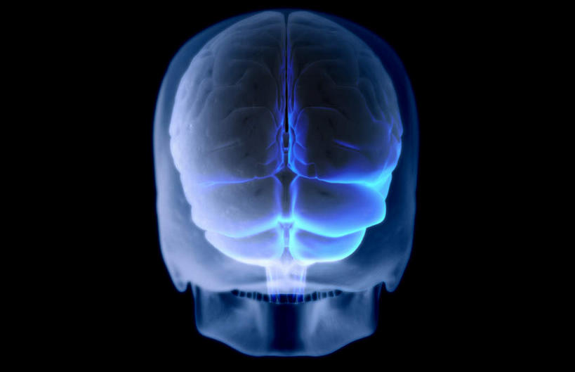 骨骼,无人,横图,插画,x光片,室内,特写,白天,正面,数码,科技,大脑,阴影,黑色背景,辐射,科学,网络,医学,骨头,高光,几何,计算机图形,合成,图画,画,电脑合成图,数码合成图,头颅,骨架,医疗,科学技术,x射线,器官,沟壑,x光,漫画,小脑,脑干,写实,具体,具象,大脑皮层,顶骨,端脑,沟,灰质,回,间脑,后脑,颧骨,彩图,电磁波,电磁辐射