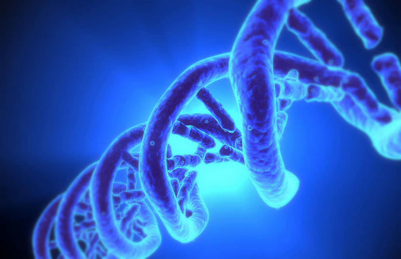 无人,横图,插画,室内,特写,白天,正面,数码,科技,阴影,蓝色背景,科学,网络,基因,高光,几何,计算机图形,合成,图画,画,蓝色,生物,遗传,电脑合成图,数码合成图,脱氧核糖核酸,漫画,写实,具体,具象,DNA分子,去氧核糖核酸,遗传信息,遗传因子,遗传学,DNA双螺旋,彩图