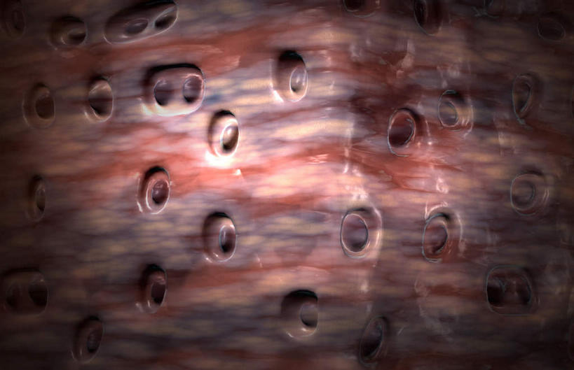 脊髓,动脉,静脉,无人,横图,插画,室内,白天,正面,数码,科技,静物,阴影,网络,医学,高光,几何,计算机图形,合成,图画,画,红色,人体,纤维,电脑合成图,数码合成图,组织,生物学,漫画,软骨,生理学,写实,具体,具象,椎间盘,脊柱,彩图