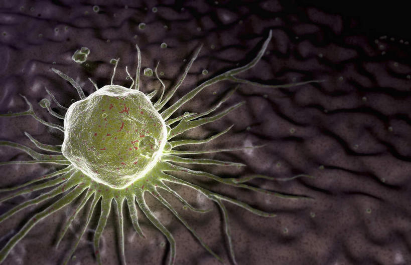 无人,横图,插画,室内,特写,白天,正面,数码,科技,静物,阴影,网络,医学,细胞,高光,几何,计算机图形,合成,图画,画,人体,电脑合成图,数码合成图,生物学,漫画,生理学,写实,具体,具象,彩图,干细胞