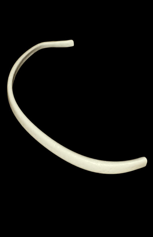 动脉,静脉,骨骼,肋骨,无人,竖图,插画,室内,特写,白天,正面,数码,科技,静物,阴影,黑色背景,网络,医学,骨头,光芒,高光,几何,计算机图形,合成,图画,画,模型,人体,电脑合成图,数码合成图,骨架,生物学,漫画,生理学,写实,具体,具象,肋软骨,彩图