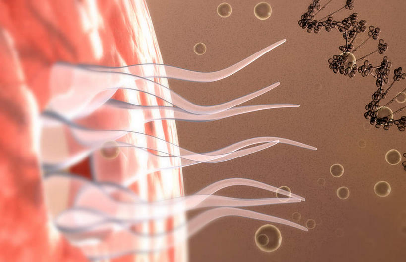 无人,横图,插画,室内,特写,白天,正面,数码,科技,静物,阴影,黑色背景,科学,网络,基因,细胞核,医学,染色体,细胞,高光,几何,计算机图形,合成,图画,画,生物,人体,遗传,电脑合成图,数码合成图,疾病,生物学,脱氧核糖核酸,蛋白质,艾滋病,漫画,生理学,写实,具体,具象,传染,传染病,DNA分子,核糖核酸,后天性免疫缺陷症候群,获得性免疫缺陷综合症,流行症,慢性病,去氧核糖核酸,染色质,遗传信息,遗传因子,遗传学,致命,彩图,感染
