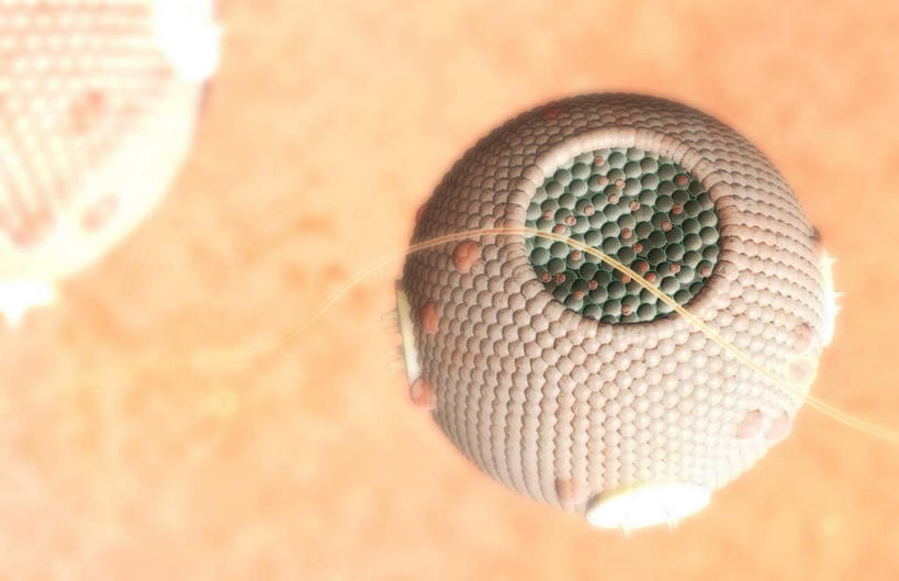 无人,横图,插画,室内,特写,白天,正面,数码,科技,静物,阴影,黑色背景,网络,医学,细胞,高光,几何,计算机图形,合成,图画,画,人体,电脑合成图,数码合成图,生物学,漫画,生理学,写实,具体,具象,胆固醇,脂蛋白,中密度脂蛋白,彩图