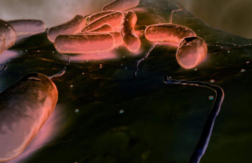 无人,横图,插画,室内,特写,白天,正面,数码,科技,静物,阴影,黑色背景,网络,医学,细胞,高光,几何,计算机图形,合成,图画,画,人体,电脑合成图,数码合成图,生物学,漫画,生理学,写实,具体,具象,大肠杆菌,彩图