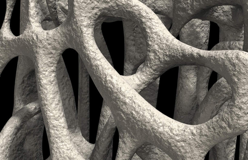 动脉,静脉,骨骼,无人,横图,插画,室内,特写,白天,白色背景,正面,数码,科技,静物,阴影,局部,网络,医学,骨头,高光,几何,计算机图形,合成,图画,画,模型,人体,电脑合成图,数码合成图,骨架,生物学,漫画,生理学,写实,具体,具象,骨质疏松,半身,彩图