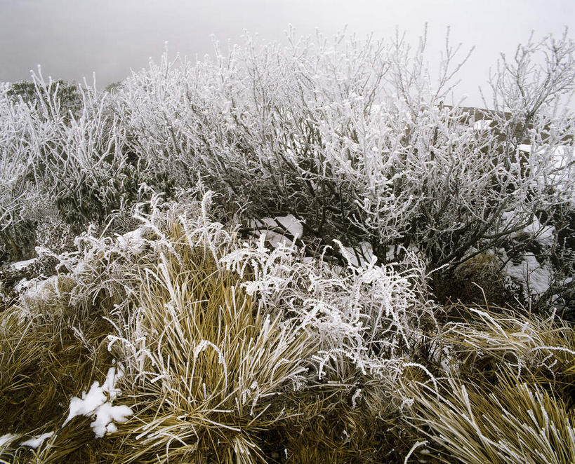无人,横图,俯视,室外,白天,旅游,度假,美景,植物,雾,中国,亚洲,吊挂,悬挂,枯萎,朦胧,模糊,清澈,景观,乌云,云,阴天,云朵,枯草,挂,云彩,霜,娱乐,草,黄色,天空,自然,天,享受,休闲,景色,放松,寒冷,迷雾,冰冷,昏暗,阴沉,自然风光,东亚,中华人民共和国,严寒,白霜,冰凉,酷寒,凛冽,凛凛,极冷,清亮,大雾,彩图,高角度拍摄