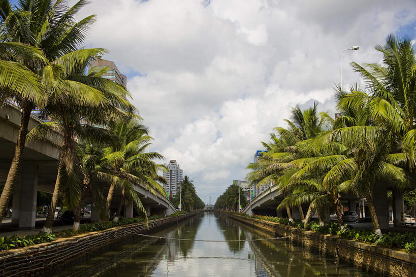 无人,高楼大厦,横图,室外,白天,仰视,旅游,度假,河流,美景,水,植物,大桥,大厦,道路,建筑,立交桥,路,摩天大楼,桥梁,公路,棕榈树,叶子,中国,亚洲,阴影,光线,影子,河水,景观,水流,云,云朵,高架,桥,绿叶,交通,云彩,娱乐,树,树木,海南,蓝色,绿色,白云,倒影,蓝天,天空,阳光,自然,天,享受,休闲,嫩叶,景色,放松,海南省,生长,晴朗,成长,倒映,自然风光,高架桥,东亚,棕榈叶,高架道路,跨线桥,中华人民共和国,华南地区,省会,海口,海口市,琼,反照,叶,叶片,晴空,立体交叉桥,马路,棕树,棕榈,彩图,低角度拍摄,大楼,高层建筑,高楼,摩天楼,枢纽立交,系统立交桥