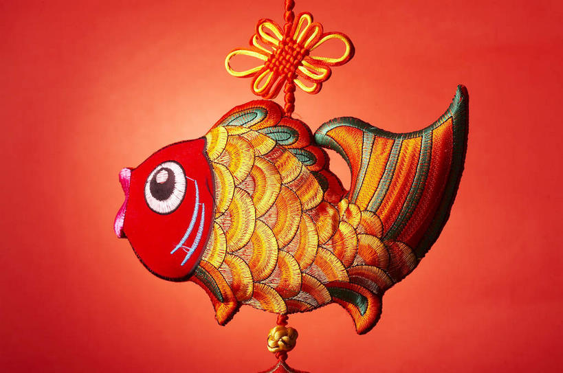 无人,横图,室内,特写,白天,侧面,鲤鱼,静物,春节,吊挂,悬挂,阴影,红色背景,节日,庆祝,艺术,反射,鱼,影子,手工艺品,挂,文化,水产,鱼类,一个,红色,工艺品,中国结,庆典,摄影,影棚,单个,纪念,吉祥,高雅,摄影棚,水生动物,饰物,水生物,自信心,品位,年年有余,美梦成真,事业有成,鲤子,鲤拐子,彩图,全身,影棚拍摄,拍摄,淡水生物,河鲜