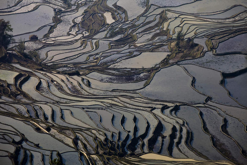 无人,农田,横图,俯视,室外,白天,旅游,度假,农业,庄稼,梯田,农作物,美景,水,中国,亚洲,阴影,曲折,弯曲,光线,液体,影子,稻田,景观,水滴,娱乐,云南,倒影,阳光,自然,享受,休闲,景色,放松,蜿蜒,倒映,自然风光,东亚,元阳,云南省,中华人民共和国,西南地区,滇,红河,红河州,红河哈尼族彝族自治州,反照,哀牢山,元阳梯田,元阳县,彩图,高角度拍摄,耕地,庄稼田,元阳哈尼族梯田