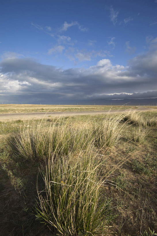无人,竖图,室外,白天,正面,旅游,度假,草地,草原,美景,植物,青海湖,中国,亚洲,阴影,光线,影子,景观,旷野,云,云朵,云彩,娱乐,草,蓝色,绿色,白云,蓝天,天空,阳光,自然,天,享受,休闲,景色,放松,晴朗,自然风光,原野,东亚,青海,青海省,中华人民共和国,西北地区,青,咸水湖,晴空,彩图,二郎剑风景区