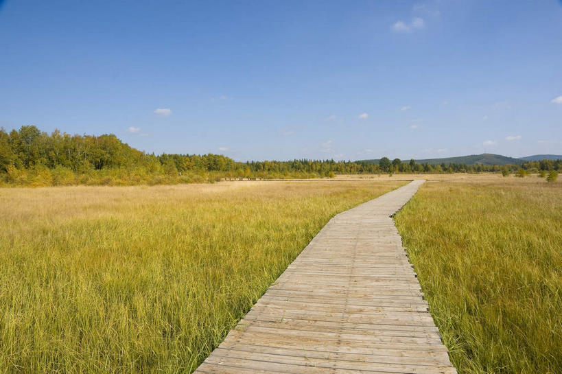 无人,横图,室外,白天,正面,旅游,度假,草地,草原,美景,树林,植物,中国,阴影,曲折,弯曲,光线,木板,影子,景观,旷野,云,云朵,桥,木桥,云彩,娱乐,栈桥,草,树,树木,蓝色,绿色,白云,蓝天,天空,阳光,自然,天,享受,休闲,景色,放松,蜿蜒,生长,晴朗,成长,人行桥,木板桥,自然风光,原野,独木桥,东亚,中华人民共和国,华北地区,河北,河北省,冀,承德,承德市,晴空,彩图,坝上草原