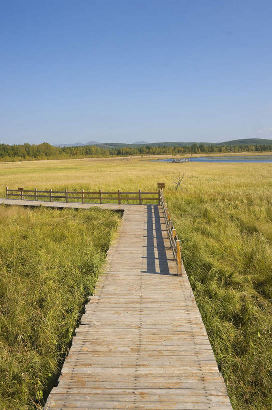 无人,栏杆,竖图,室外,白天,正面,旅游,度假,草地,草原,美景,树林,植物,中国,亚洲,阴影,曲折,弯曲,光线,木板,影子,景观,旷野,围栏,桥,木桥,娱乐,护栏,栈桥,草,树,树木,蓝色,绿色,蓝天,天空,阳光,自然,天,享受,休闲,景色,放松,蜿蜒,生长,晴朗,成长,人行桥,木板桥,自然风光,原野,独木桥,东亚,万里无云,中华人民共和国,华北地区,河北,河北省,冀,承德,承德市,晴空,晴空万里,彩图,坝上草原
