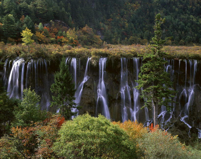 无人,横图,室外,白天,正面,旅游,度假,石头,美景,瀑布,树林,水,植物,中国,亚洲,阴影,飞溅,溅,光线,石子,液体,影子,景观,水滴,悬崖,娱乐,水珠,树,树木,绿色,阳光,自然,享受,休闲,景色,放松,四川省,生长,成长,喷洒,自然风光,东亚,四川,阿坝,中华人民共和国,西南地区,阿坝藏族羌族自治州,阿坝州,川,九寨沟县,绝壁,诺日朗瀑布,跌水,石块,岩石,彩图