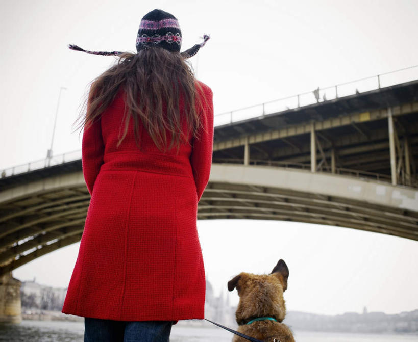 西方人,一个人,站,横图,室外,白天,仰视,大桥,立交桥,桥梁,宠物,狗,帽子,欧洲,欧洲人,仅一个年轻女性,仅一个女性,仅一个人,牵,握,服装,头盔,高架,斜拉桥,桥,拿,拿着,休闲装,一只,衣服,蓝色,蓝天,天空,动物,安全帽,天,站着,休闲,休闲服,可爱,握着,服饰,晴朗,牵着,忠诚,万里无云,年轻女性,女人,女性,白种人,晴空,晴空万里,犬,站立,半身,彩图,低角度拍摄