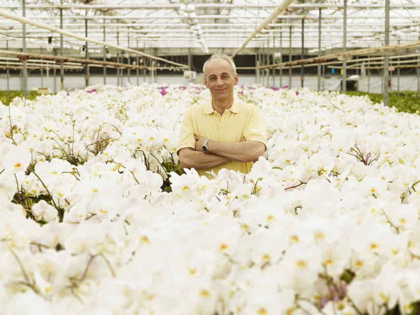 西方人,一个人,花匠,站,笑,双手交叉,微笑,横图,室内,白天,正面,植物,欧洲,欧洲人,仅一个男性,仅一个人,仅一个中年男性,服装,盛开,盆栽,盆景,花蕾,温室,注视,休闲装,花,花瓣,花朵,鲜花,衣服,绿色,白色,自然,花苞,花蕊,观察,看,站着,休闲,休闲服,服饰,设施,生长,成长,观看,察看,暖房,双手抱胸,防寒,关注,加温,透光,保温,男人,男性,中年男性,白种人,园丁,站立,半身,彩图